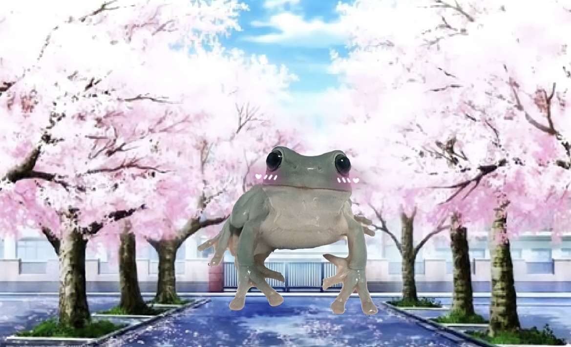 Лягушки жабятся / frogs ?