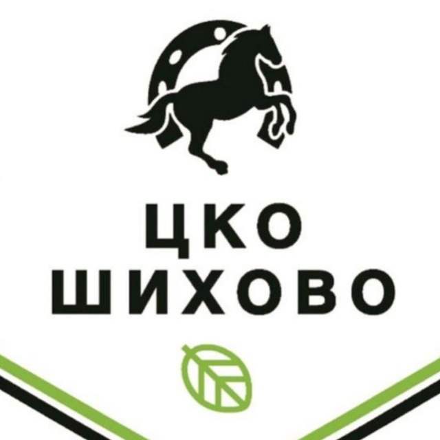 Верховая езда, конные прогулки ?