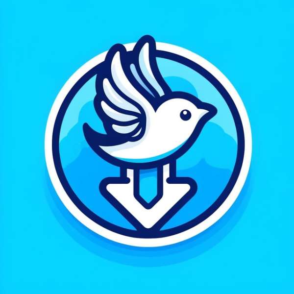 Twitter Video Downloader