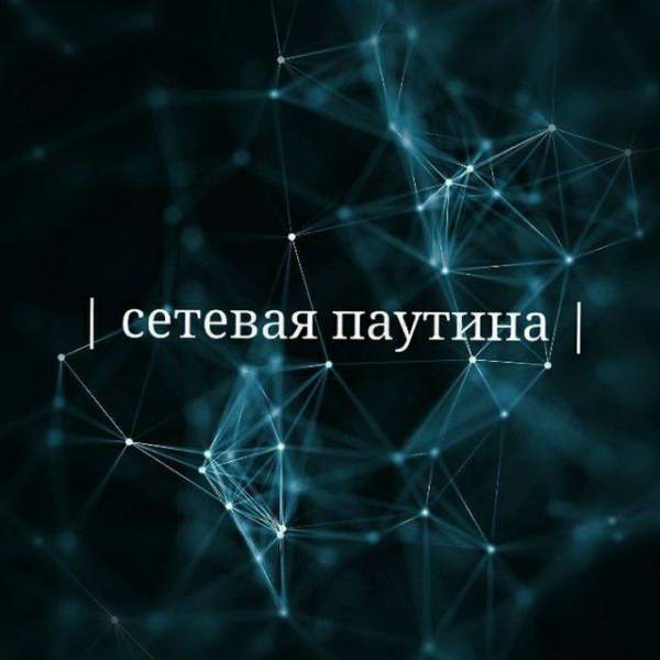 Телеграм Группа (Чат) - Сетевая паутина