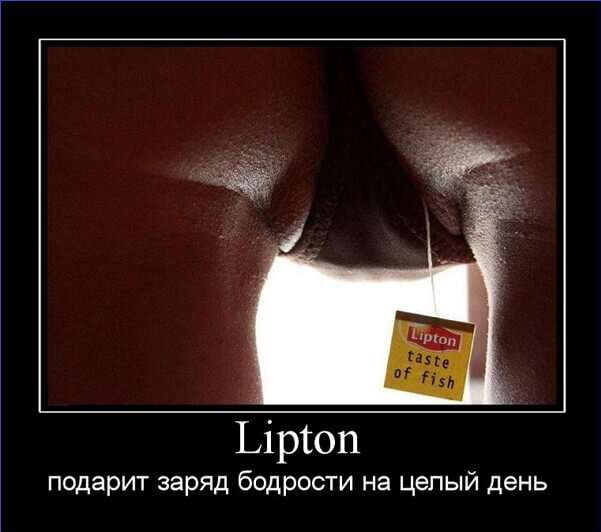 Приколюхи