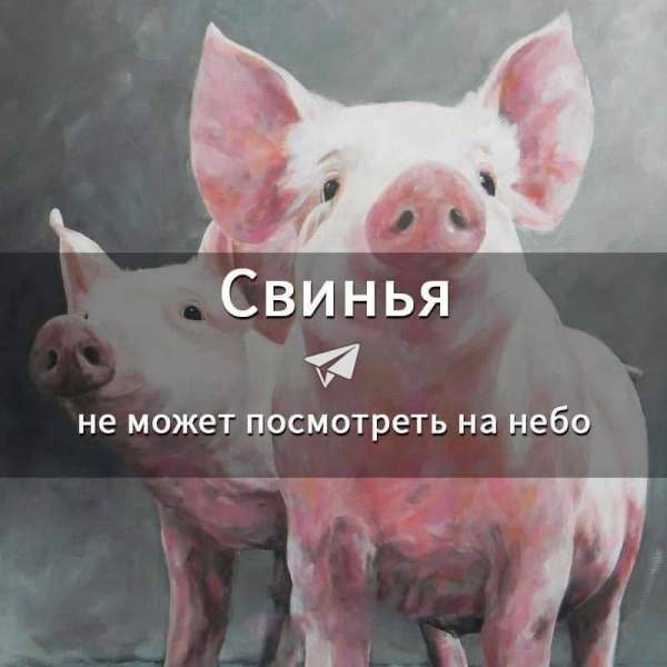 Познавариум