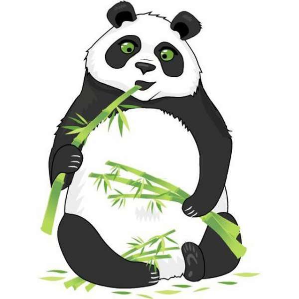 Panda Quiz