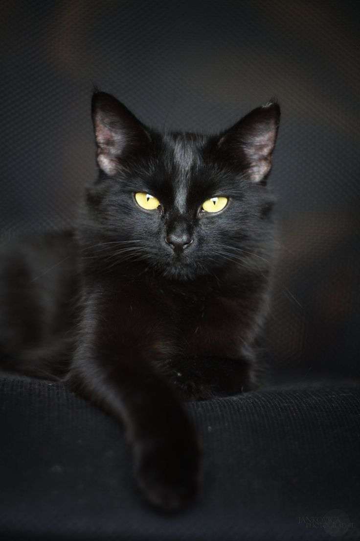 Телеграм Группа (Чат) - Группа для общения и знакомств