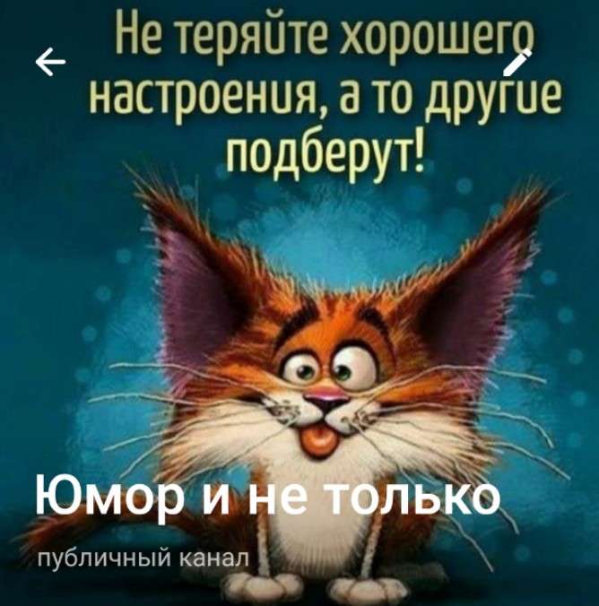 Юмор и не только