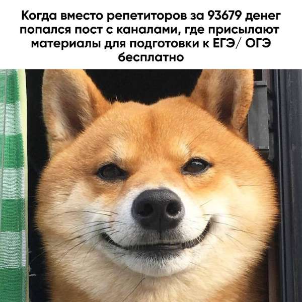 Подготовка к ЕГЭ или к ОГЭ