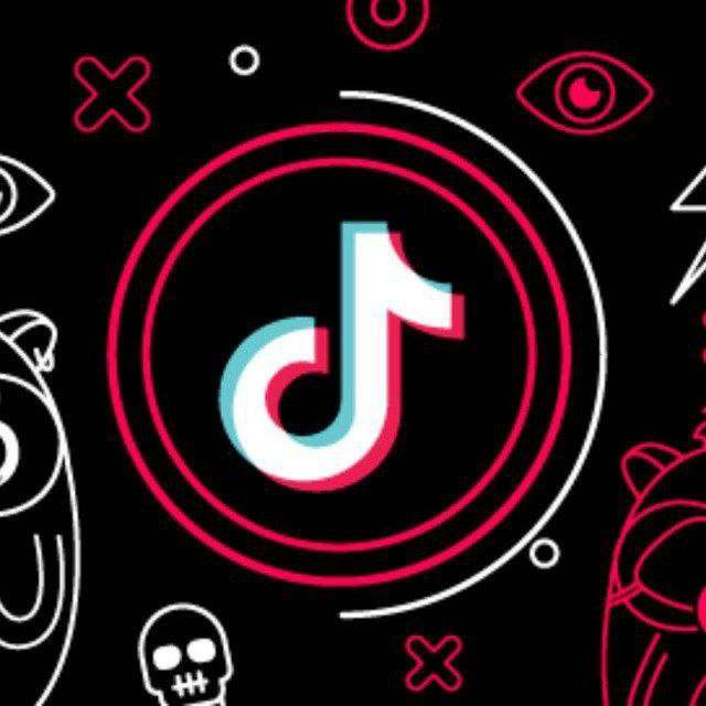 Бот для быстрого сказания фото и видео из Tik Tok