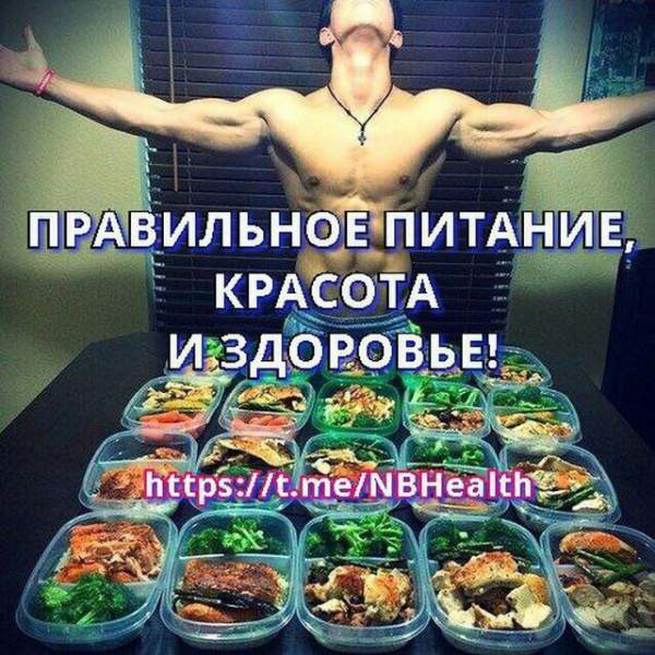 Диетология/Спорт/Здоровье