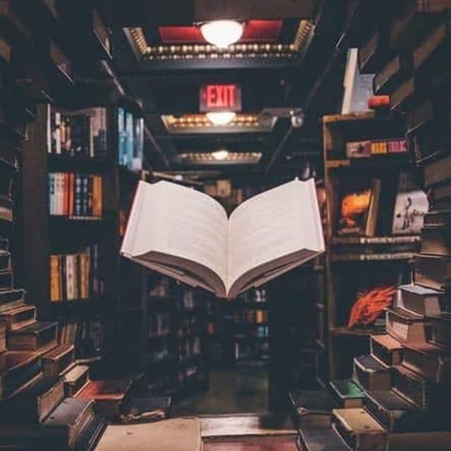 Flibusta - Книжный бот