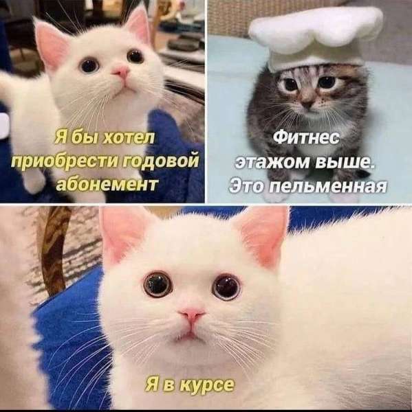 MemeApe ?
