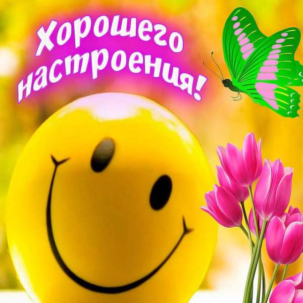 Красивые поздравления