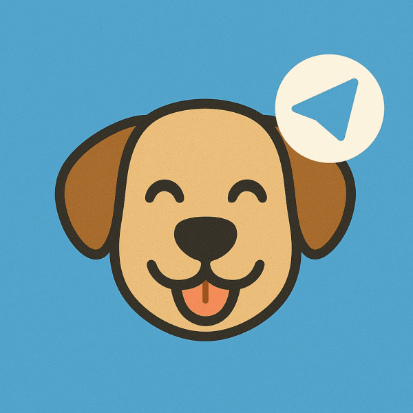 DogMeet