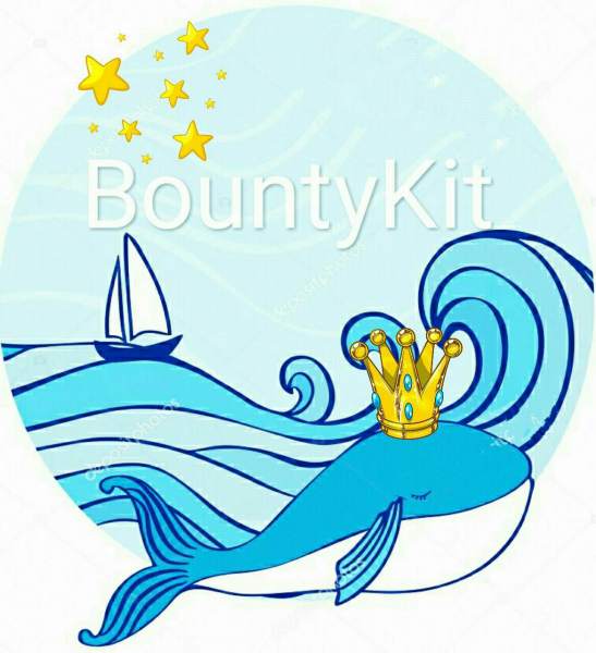Блог Новости BountyKit?