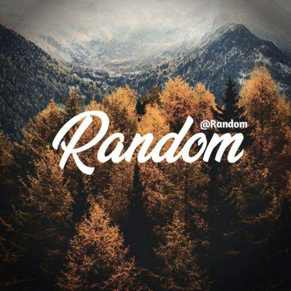 Randomly collected facts