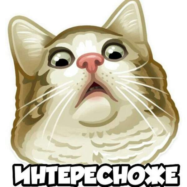 ИнтересноЖе